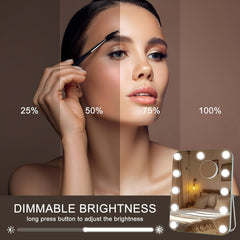 HASIPU 11/12 Bulbs Hollywood Vanity Mirror with Lights, LED Makeup Mirror