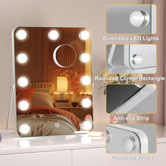 HASIPU 11/12 Bulbs Hollywood Vanity Mirror with Lights, LED Makeup Mirror