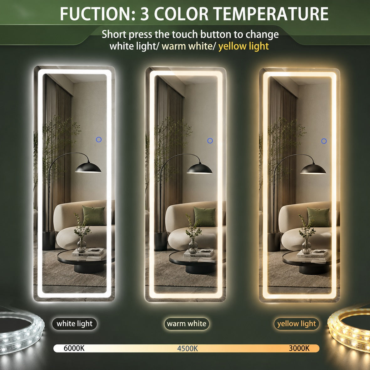 Hasipu LED Full Length Mirrors with Light LD002